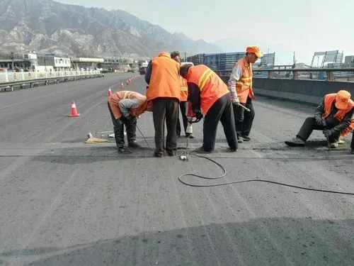 舟山道路桥梁病害治理